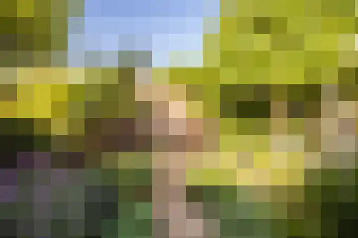 De Hengmolen 6 Westervoort thumbnail 28