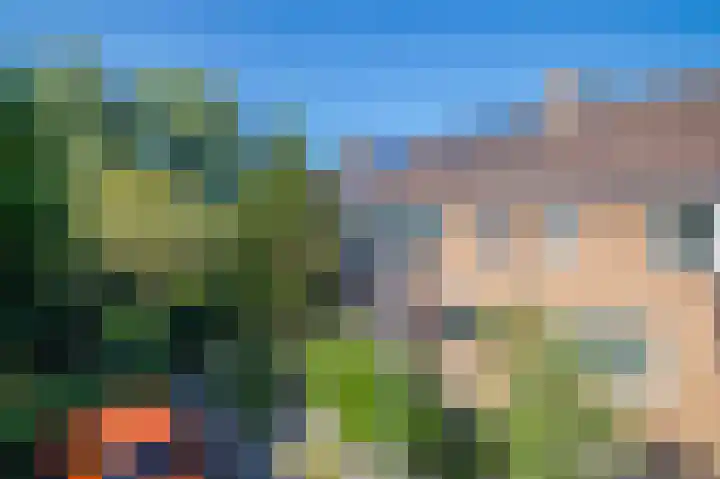 De Hengmolen 6 Westervoort thumbnail 7