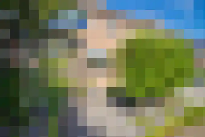 De Hengmolen 6 Westervoort thumbnail 8
