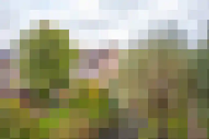 De Hengmolen 8 Westervoort thumbnail 19