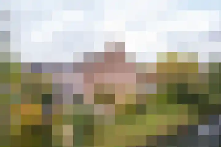 De Hengmolen 8 Westervoort thumbnail 20