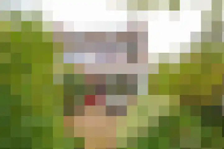 De Hengmolen 8 Westervoort thumbnail 22