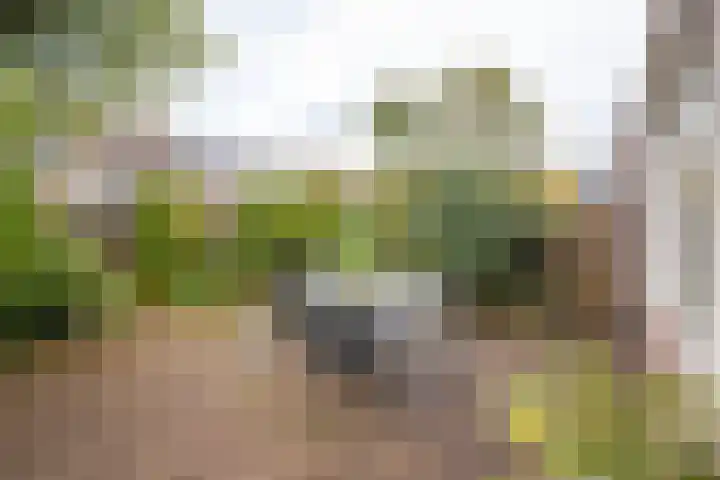 De Hengmolen 8 Westervoort thumbnail 23