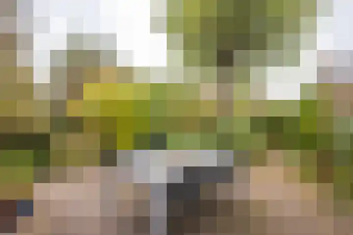 De Hengmolen 8 Westervoort thumbnail 24