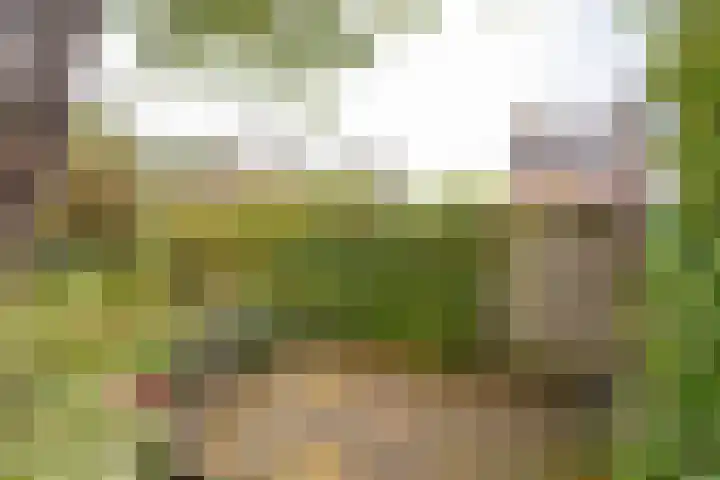 De Hengmolen 8 Westervoort thumbnail 25
