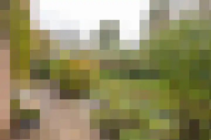 De Hengmolen 8 Westervoort thumbnail 27
