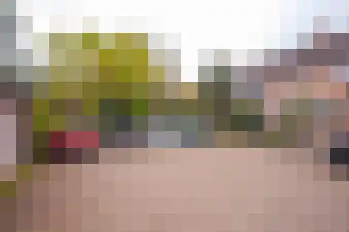 De Hengmolen 8 Westervoort thumbnail 37