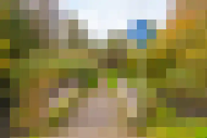 De Hengmolen 8 Westervoort thumbnail 38