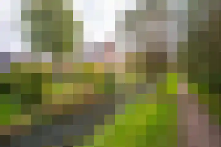 De Hengmolen 8 Westervoort thumbnail 5