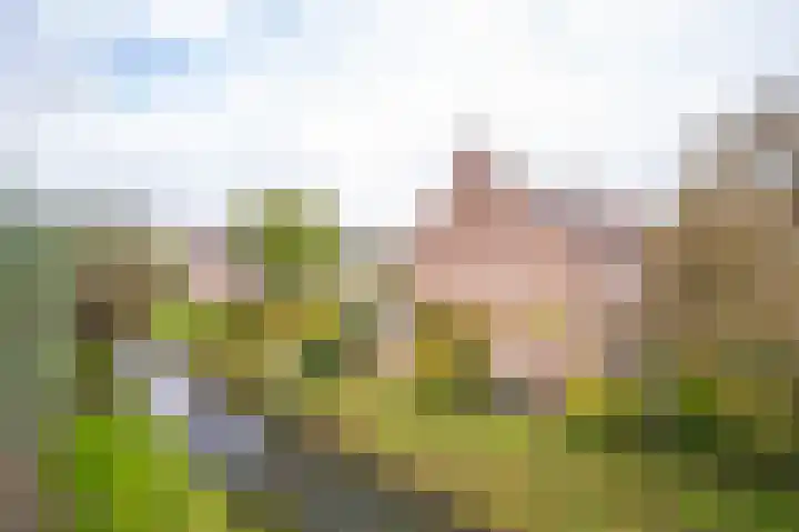 De Hengmolen 8 Westervoort thumbnail 6