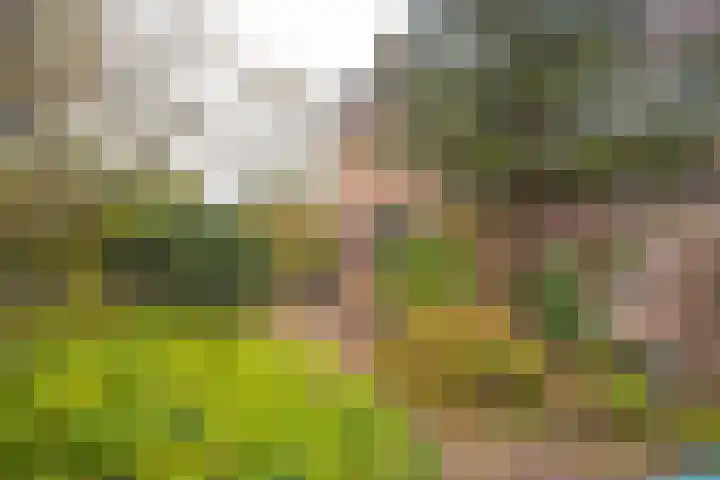 De Hengmolen 8 Westervoort thumbnail 7