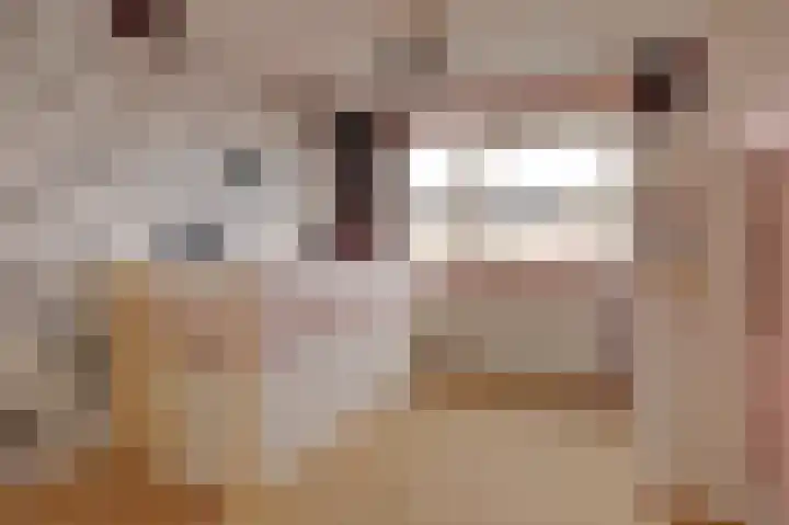 de Henich 21 Wadenoijen thumbnail 11