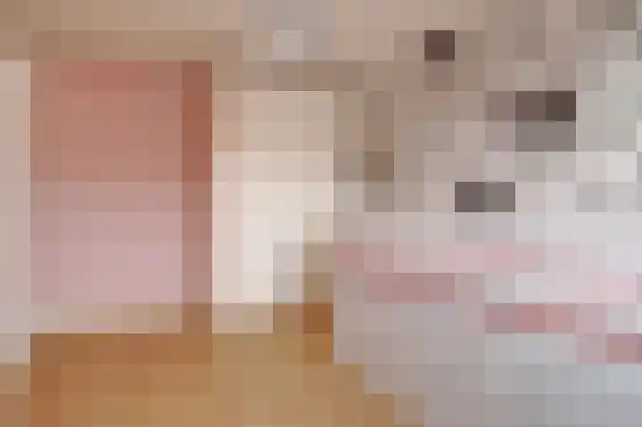 de Henich 21 Wadenoijen thumbnail 12