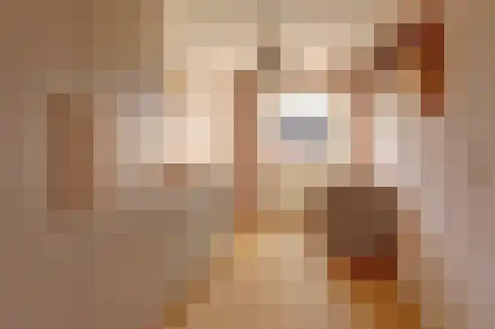 de Henich 21 Wadenoijen thumbnail 13