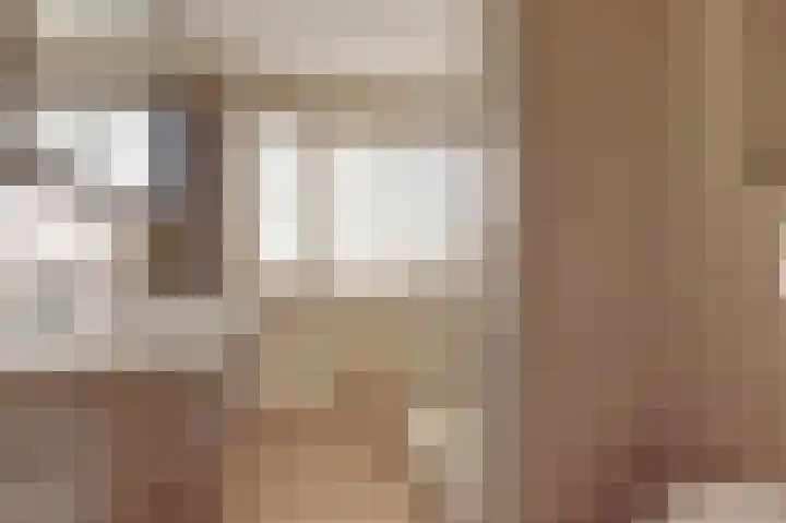 de Henich 21 Wadenoijen thumbnail 17