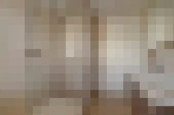 de Henich 21 Wadenoijen thumbnail 18