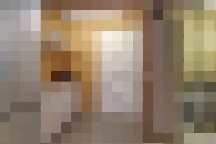 de Henich 21 Wadenoijen thumbnail 23