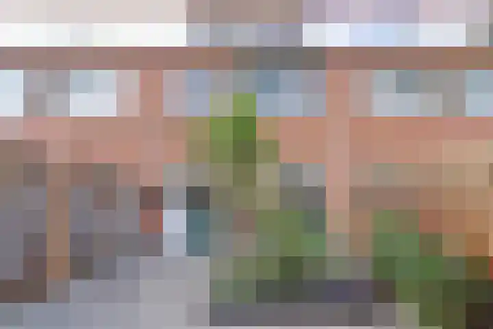 de Henich 21 Wadenoijen thumbnail 24