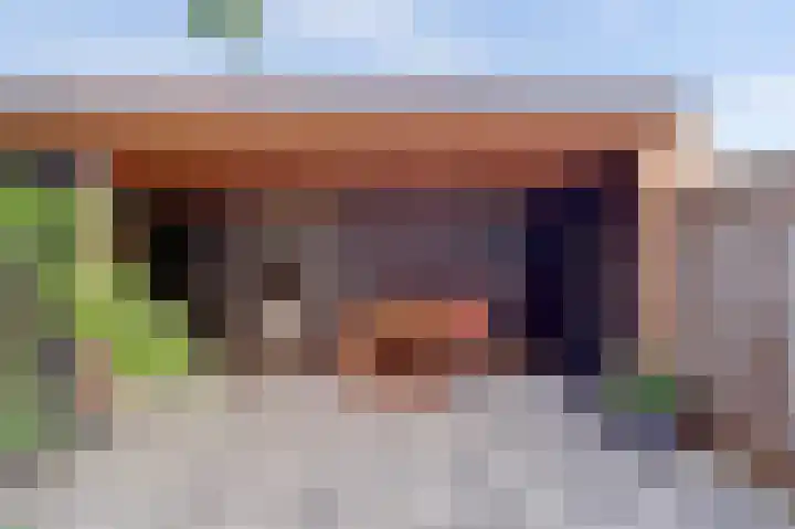 de Henich 21 Wadenoijen thumbnail 25