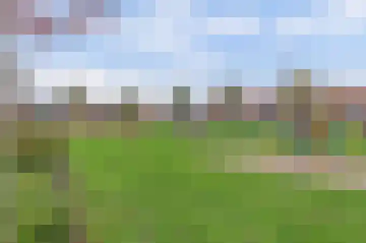 de Henich 21 Wadenoijen thumbnail 26
