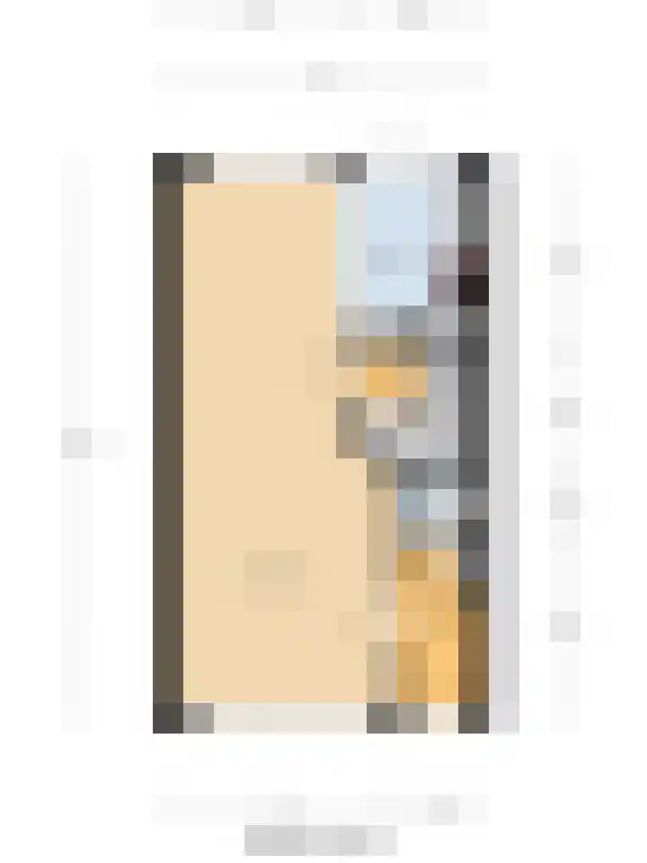 de Henich 21 Wadenoijen thumbnail 27