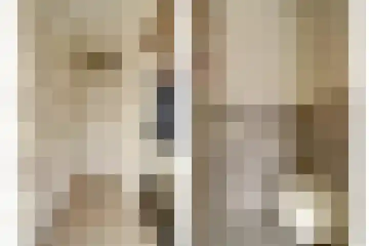 de Henich 21 Wadenoijen thumbnail 5