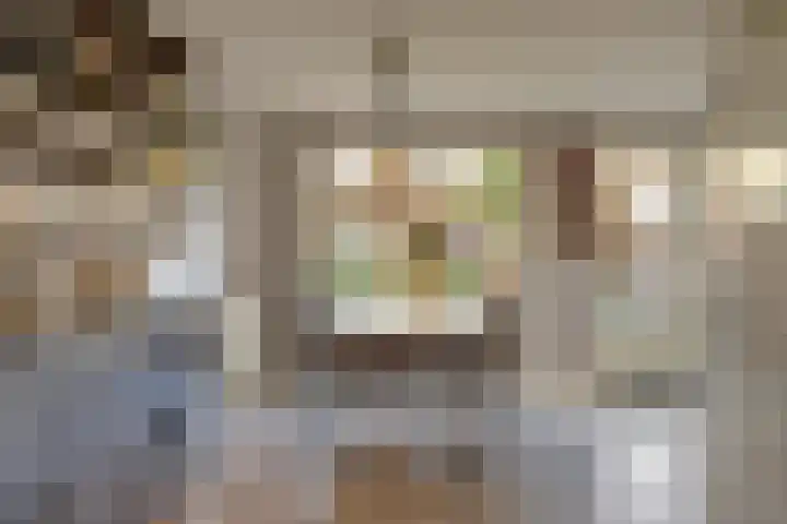 de Henich 21 Wadenoijen thumbnail 7