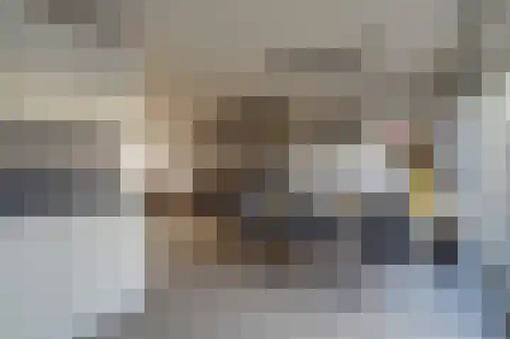 de Henich 21 Wadenoijen thumbnail 8