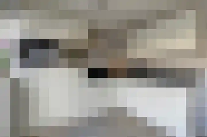 de Henich 21 Wadenoijen thumbnail 9