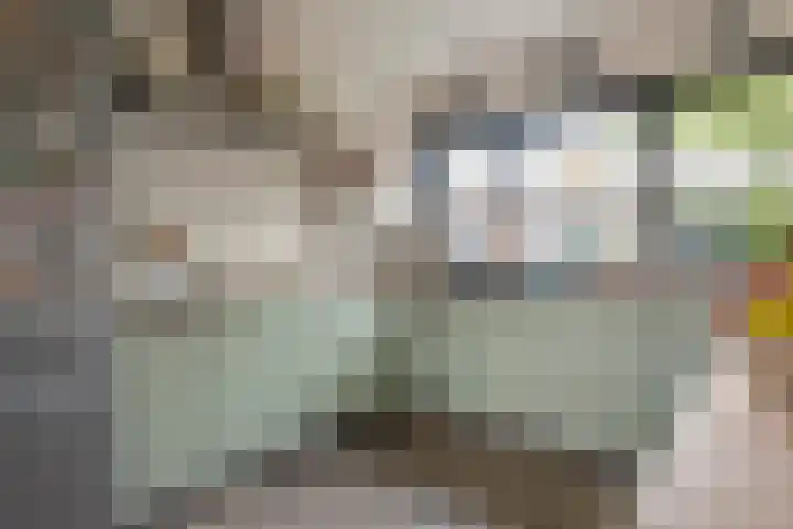 De Hennepe 194 Tiel thumbnail 12