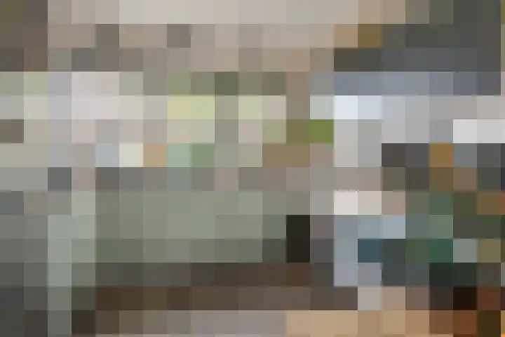 De Hennepe 194 Tiel thumbnail 13