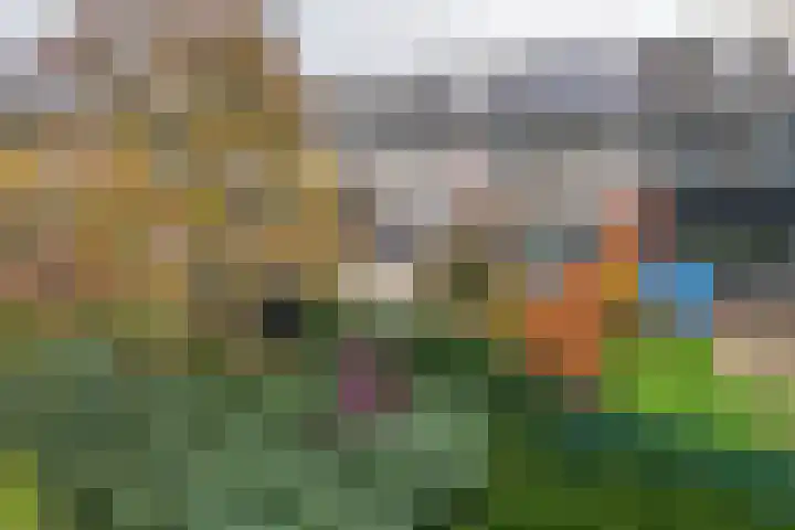 De Hennepe 194 Tiel thumbnail 26
