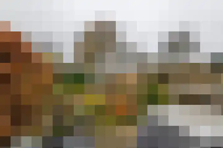 De Hennepe 194 Tiel thumbnail 27