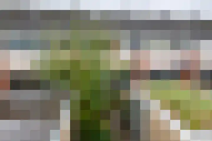 De Hennepe 194 Tiel thumbnail 29
