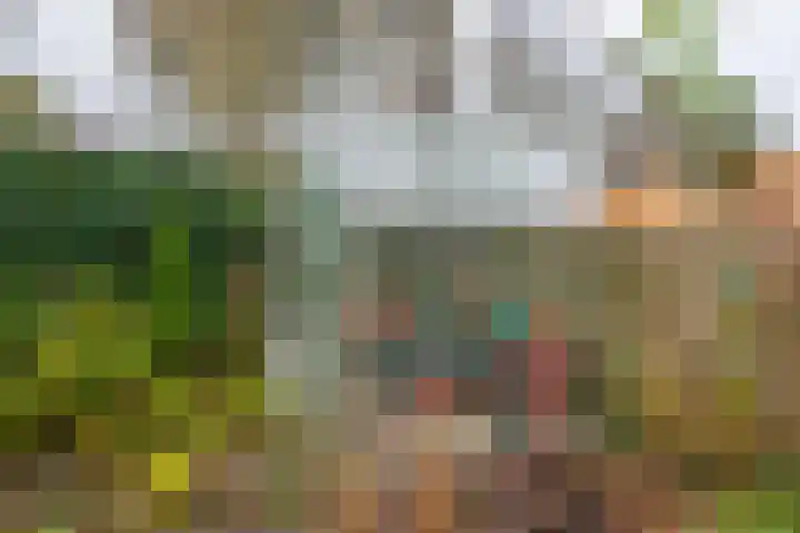 De Hennepe 194 Tiel thumbnail 30