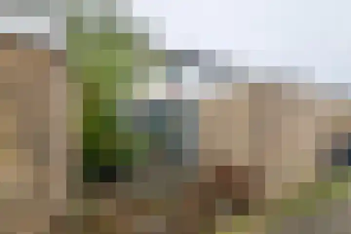 De Hennepe 194 Tiel thumbnail 4