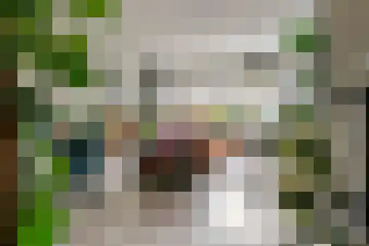 De Hennepe 194 Tiel thumbnail 6