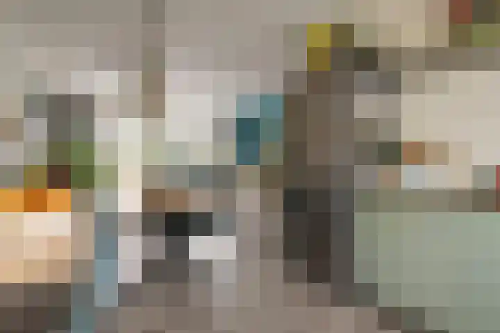 De Hennepe 194 Tiel thumbnail 9