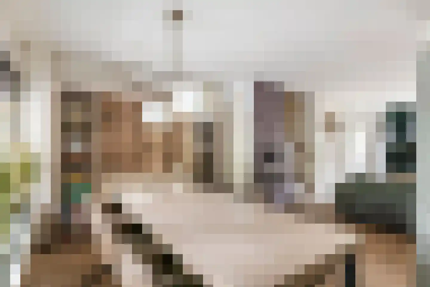 De Hennepe 20 Tiel thumbnail 11