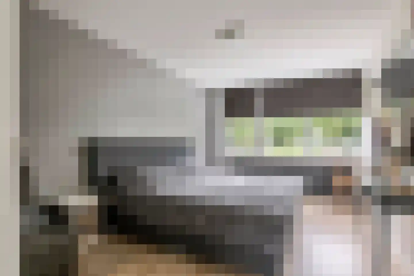 De Hennepe 20 Tiel thumbnail 16