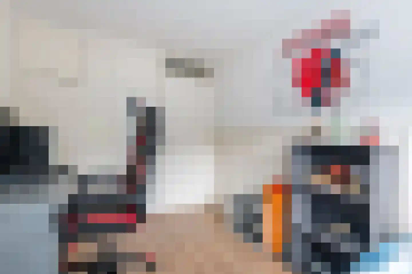 De Hennepe 20 Tiel thumbnail 18