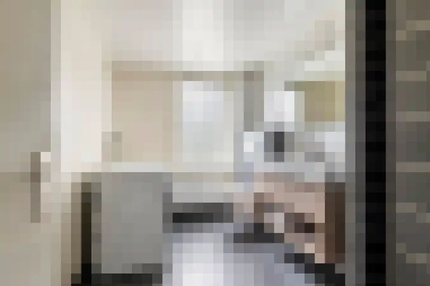 De Hennepe 20 Tiel thumbnail 24
