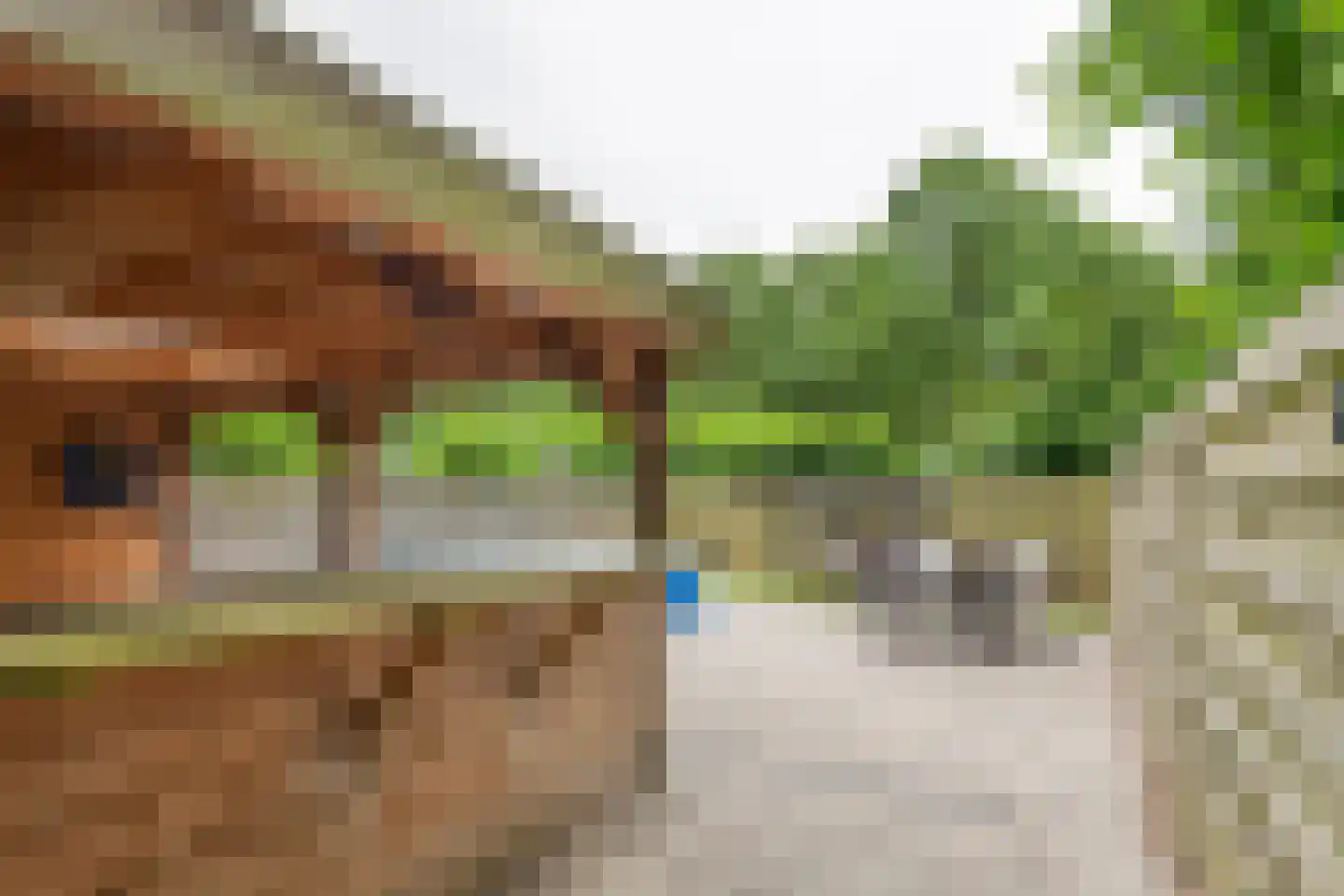 De Hennepe 20 Tiel thumbnail 33