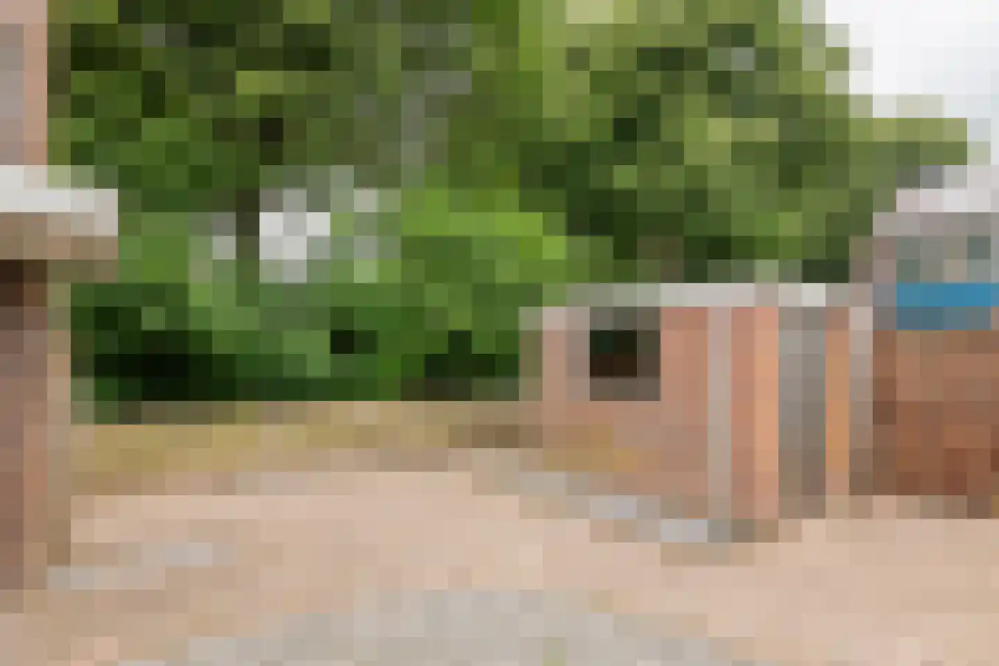De Hennepe 20 Tiel thumbnail 37
