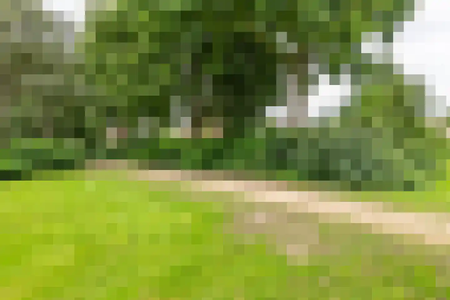 De Hennepe 20 Tiel thumbnail 38