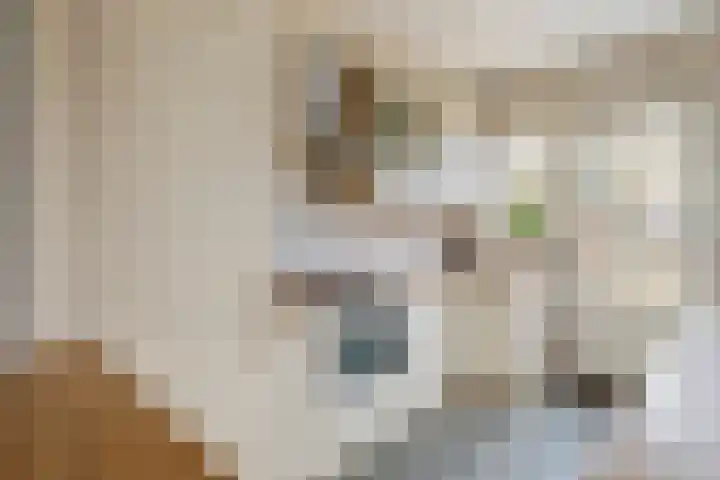 De Hennepe 209 Tiel thumbnail 11