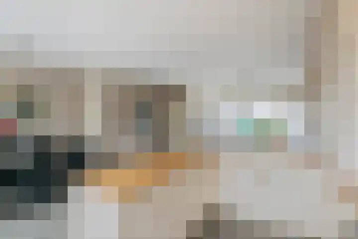 De Hennepe 209 Tiel thumbnail 12