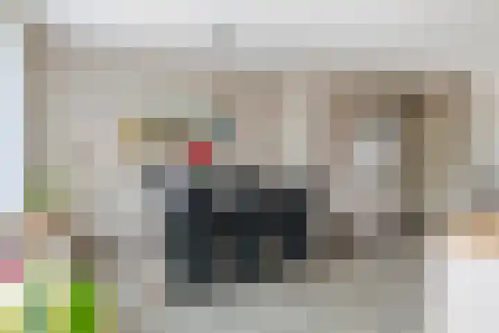 De Hennepe 209 Tiel thumbnail 13