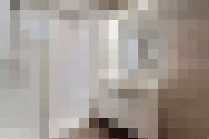 De Hennepe 209 Tiel thumbnail 23