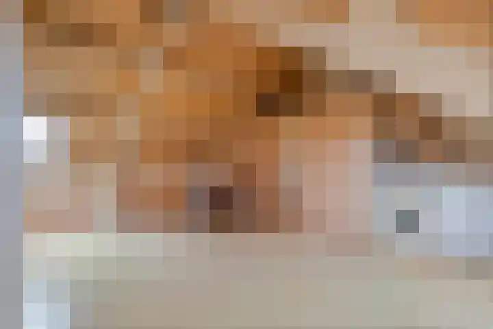 De Hennepe 209 Tiel thumbnail 25